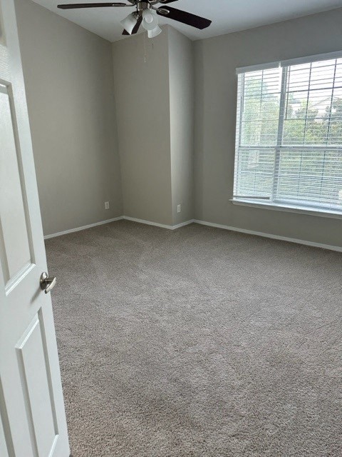 Gallery Photo 6